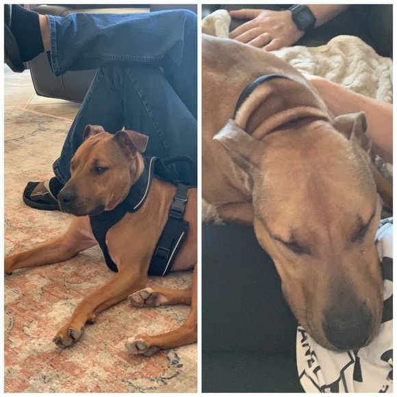 Meet your Posher, Mary - Picture 9 of 10